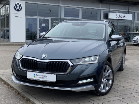 Skoda Octavia Scout 2.0 TDI DSG 4x4 18