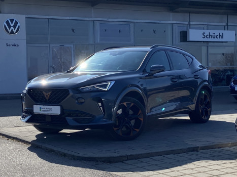 Cupra Formentor VZ 2.0 FSI DSG 4-DRIVE 19