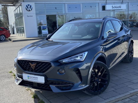 Cupra Formentor 2.0 TSI DSG 4-DRIVE EL.SCHALE+EL.HECK+BEATS+19