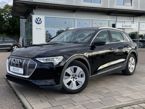 Audi e-tron 50 quattro 19