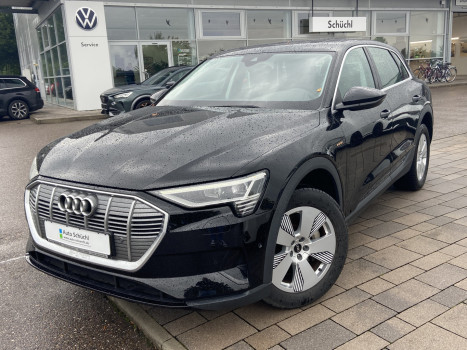 Audi e-tron 50 quattro NAVI+LED+CCS+KAMERA+PANORAMA+VIRTUAL-COCKPIT+SHZ+DAB+BLUETOOTH+GRA 035073