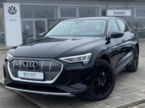 Audi e-tron 55 quattro S-Line 300kw LEDER+21