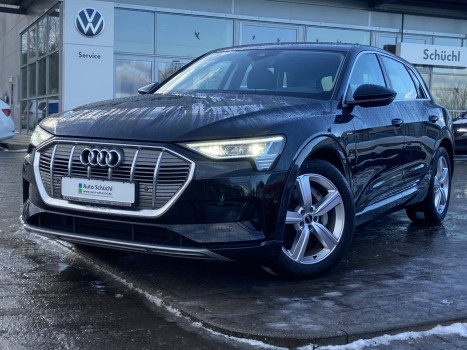 Audi e-tron quattro 50 advanced LEDER+CCS+KAMERA+VIRTUAL-PLUS+NAVI+LED+EL.HECK+DAB+PDC+SHZ+BLUETOOTH+GRA+KEYLESS 005864