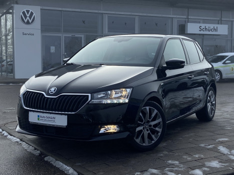 Skoda Fabia 1.0 TSI Clever SMART-LINK+ACC+DAB+SHZ+PDC 095624