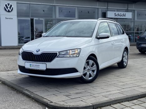 Skoda Fabia Combi 1.0 TSI DSG Ambition SMART-LINK+NAVI+DAB+SHZ+PDC+GRA 017313
