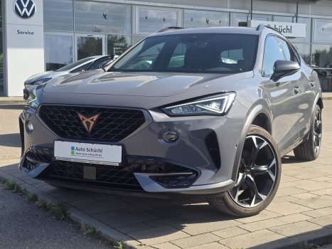 Cupra Formentor 1.5 TSI DSG NAVI+LED+AHK +19