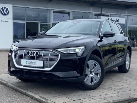 Audi e-tron 50 quattro NAVI+VIRTUAL-COCKPIT+LED+CCS+DAB+PDC+SHZ+BLUETOOTH+GRA 035360