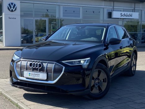 Audi e-tron 50 quattro AHK+NAVI+VIRTUAL-COCKPIT+KAMERA+LED+CCS+DAB+PDC+SHZ+BLUETOOTH+GRA 010243