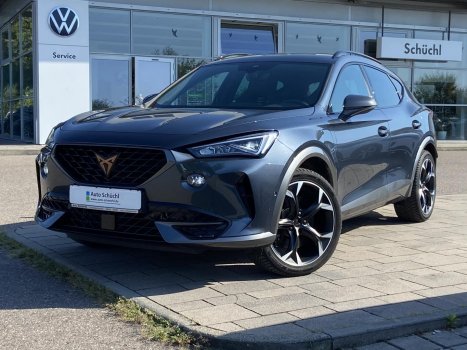 Cupra Formentor 1.4 TSI DSG eHybrid DSG 19