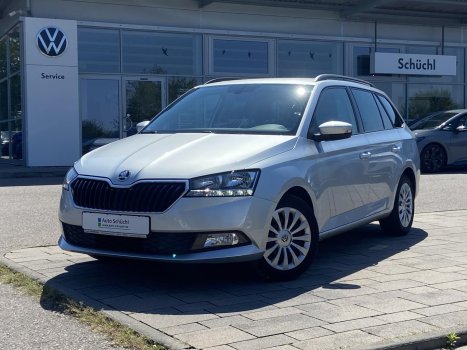 Skoda Fabia Combi 1.0 TSI SMART-LINK+NAVI+DAB+SHZ+PDC+GRA 016235