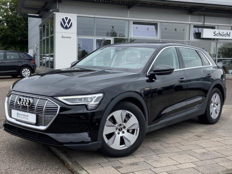Audi e-tron 50 Quattro AHK+NAVI+VIRTUAL-COCKPIT+STANDKLIMATISIERUNG+LED+CCS+DAB+PDC+SHZ+BLUETOOTH+GRA 018607