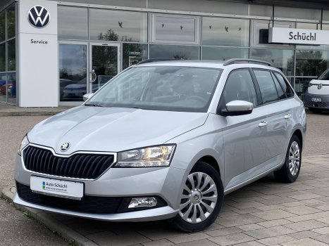 Skoda Fabia Combi 1.0 TSI Ambition SMART-LINK+DAB+SHZ+GRA 019565
