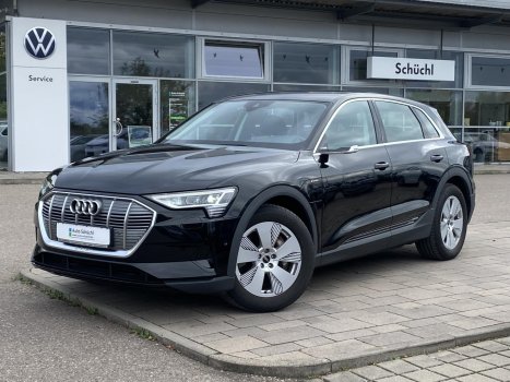 Audi e-tron 55 quattro VIRTUELLE-SPIEGEL+AHK+NAVI+VIRTUAL-COCKPIT+KAMERA+LED+CCS+DAB+PDC+SHZ+BLUETOOTH+GRA 024391